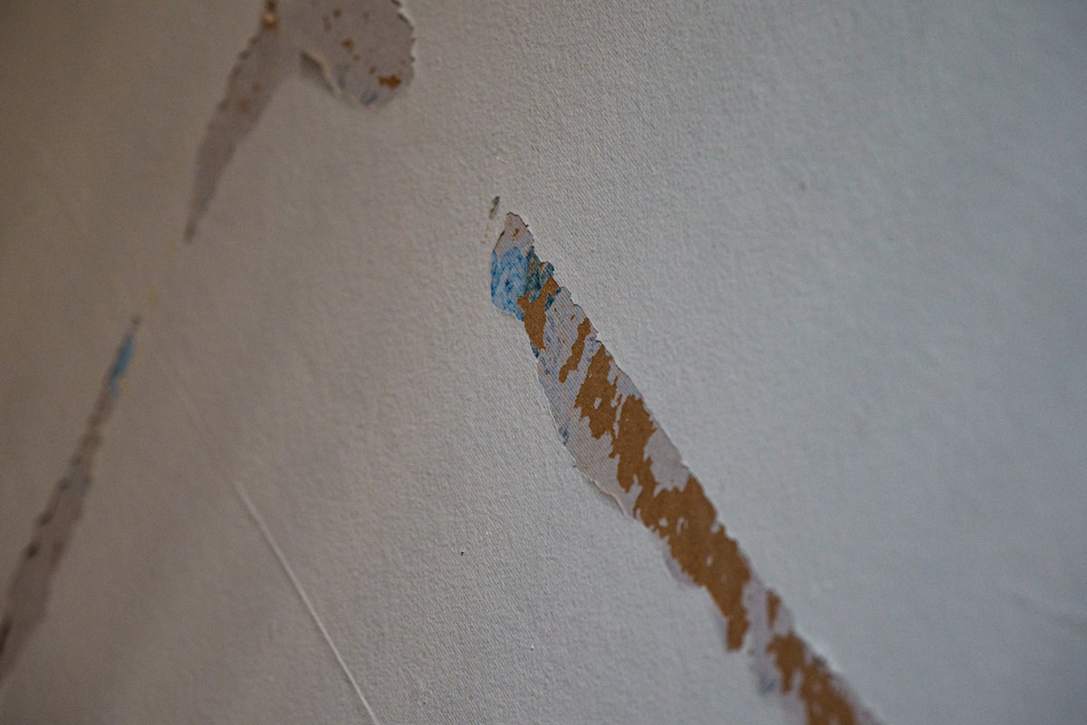 Mold Remediation service in Carmel, IN